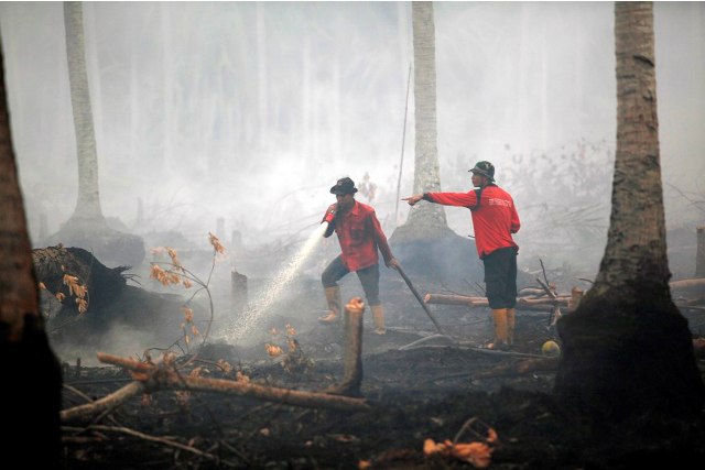 KPK Bakal Dilibatkan Dalam Kasus Karhutla